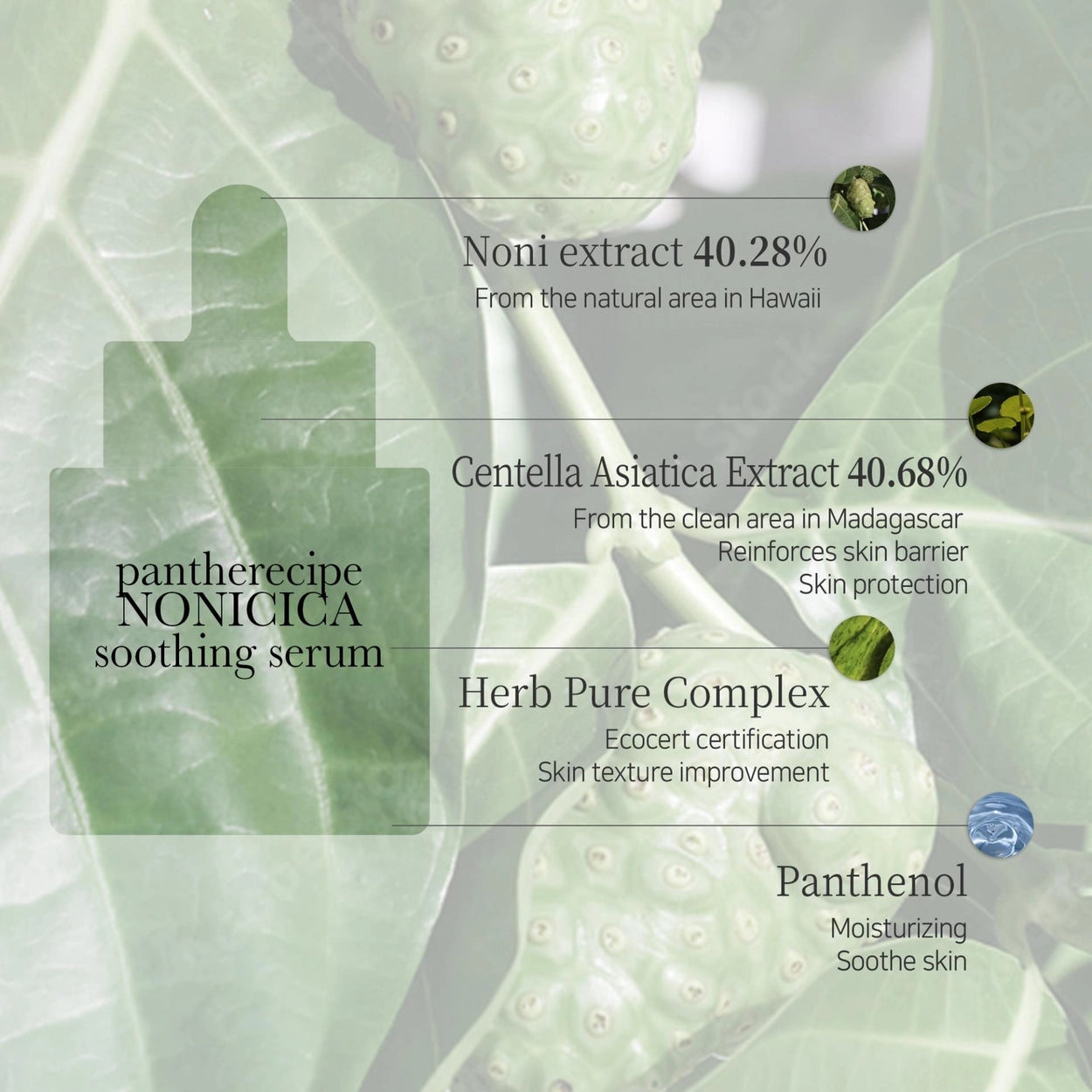 Pantherecipe Nonicica Soothing Serum