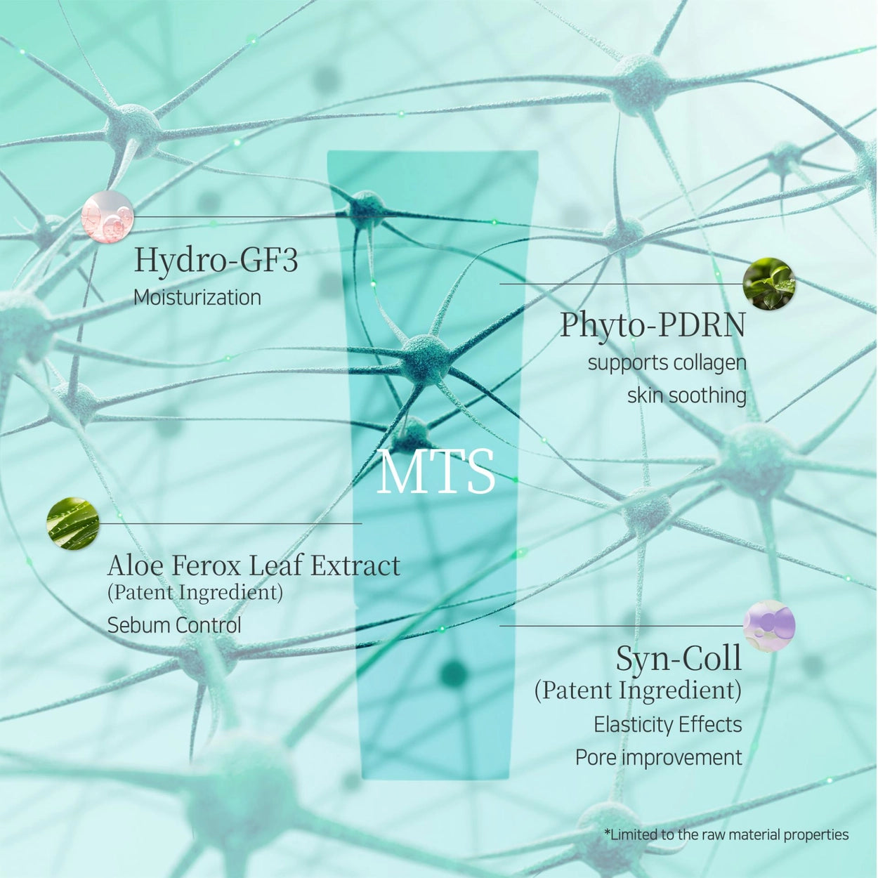 Rejurecipe MTS Roller Serum